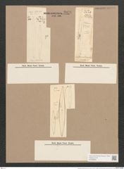 Pleurosigma intermedium W.Sm. (de-Toni-Nr.: Genus 13, Species 1004) Zeichnungen Sammlung Grunow Nr. 2036 (NHMW-BOT-W0368890)
